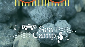 What’s best for Earth? The debate over deep ocean mining : Short Wave