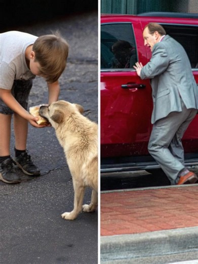 Every day, my son shared half of his lunch with a stray dog—until the day a red SUV stopped beside him. Eli, my ten-year-old, has always had the softest heart. He thanks the bus driver, waves to the garbage collectors, and carefully moves beetles out of harm’s way on the sidewalk. A few weeks ago, I started noticing things. The peanut butter jar was emptying too fast, the loaf of bread seemed to disappear overnight, and his lunchbox began coming home completely clean—no crumbs, no leftovers. One