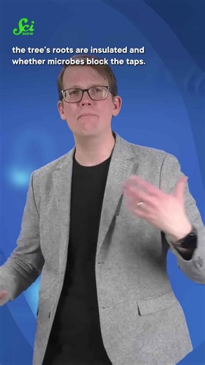 The climate crisis is coming for your syrup. #shorts #science #SciShow