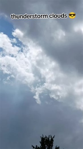 thunderstorms growing in Florida