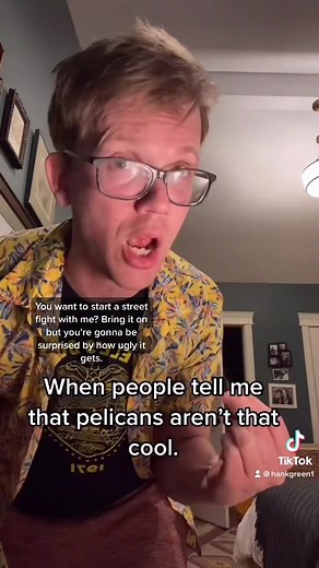 Hank Green on TikTok