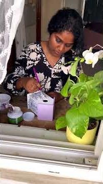 DIY Decoupage Birdhouse 🐦 | DIY Craft | Home Decor Idea | #diydecor #decoupageart #artshorts #viral