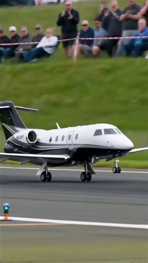 Sleek, compact, and unmistakably Japanese engineering — this RC HondaJet nails the signature over th