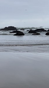 116K views · 463 reactions | Cannon Beach, Oregon #cannonbeach #cannonbeachoregon #PNWbeach #oregoncoast #pnwwonderland #traveloregon | Pinaykano Pinaykano | Facebook
