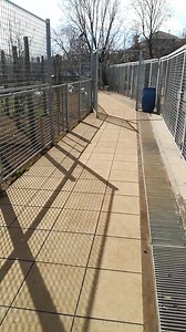 L'oasi del randagio di Mascali,, Catania | L'Oasi Del Randagio