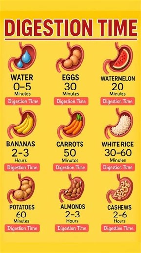 Digestion Time of Common Foods | How Long Food Takes to Digest ⏳ | Complete Guide #healthylifestyle
