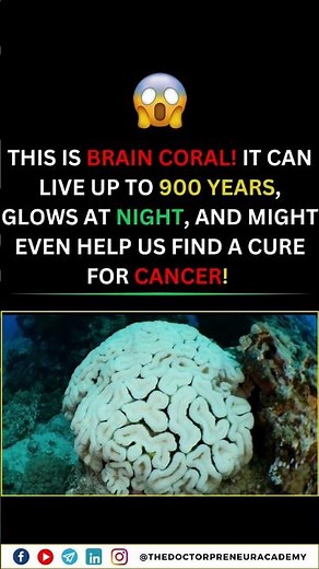 10 Mind-Blowing Facts About Brain Coral You Never Knew! | Underwater Wonders & Ocean Secrets