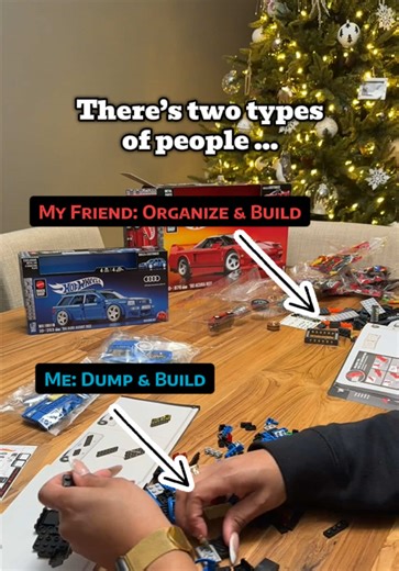 Organizing vs. Dumping: The Lego Building Debate