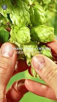 Beer Is More Scientific Than You Think!