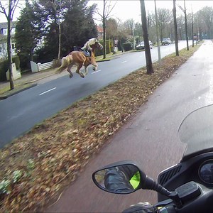 30M views · 335K reactions | This determined motorcycle rider gives new meaning to the word horsepower! ⚡️️ Credit: #jukinmedia | Hefty.co | Facebook