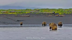 Wild Alaska – Life Inside Katmai National Park