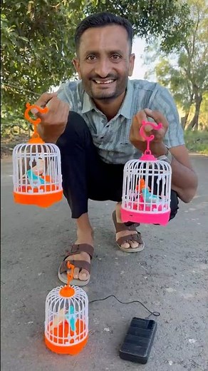 RC Sparrow Bird Carry Cot Unboxing