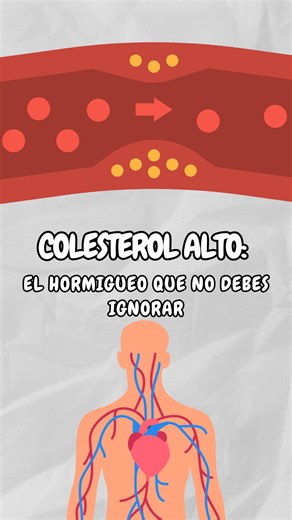 Health Essence on Instagram: "¿Se te duermen las manos, sientes hormigueo constante o notas una mala circulación? ⚠️ Esto puede ser una señal silenciosa de colesterol alto y triglicéridos elevados, un problema que muchas personas ignoran hasta que es demasiado tarde. En este video te comparto una receta natural poderosa 🌱 que ayuda a mejorar la circulación, reducir el colesterol malo y limpiar las arterias de forma sencilla y efectiva. Lo mejor de todo es que usa ingredientes económicos y fácil