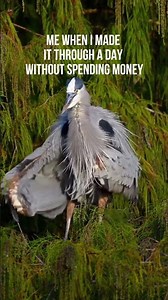 And my financial karma is still intact!