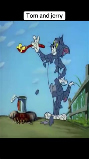 Tom and Jerry: Hilarious Cartoon Moments