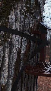 Could saddle hunting be the ultimate way to hunt? 🦌 #huntersafetysystem #deerhunting #hunting #saddlehunting #whatgetsyououtdoors | Hunter Safety System