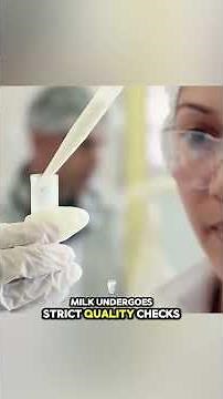This is how liquid milk is transformed into powdered milk #discovery #processes #food