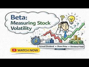 Beta Explained for Beginners | How to Measure Stock Volatility?