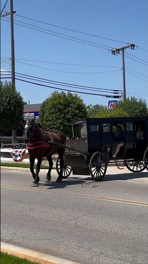 Amish Horse and Buggy