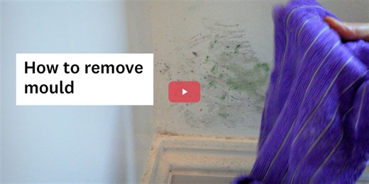 Video guide: how to remove mould at home - mould cleaning tips - Which?