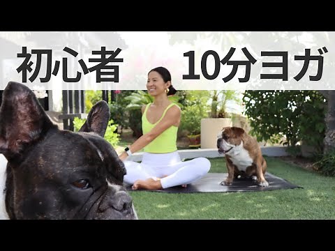 Yoga for Beginners - 10-Minute Home Exercise 🌟 Everyone Starts as a Beginner! | Wellness To Go by...