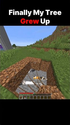 Wait How? #minecraft #shorts #gaming