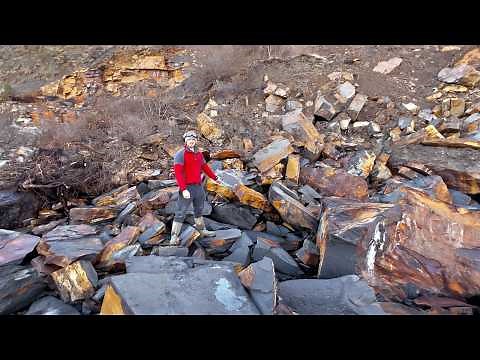 Huge LANDSLIDE Fossil Hunting! Reptile Bones, Crinoid, Fish, Ammonites and More!