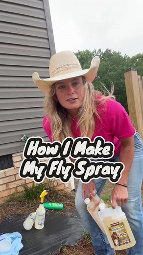 DIY Horse Fly Spray Recipe I’ve Used for 10 Years