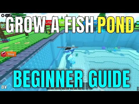 GROW A FISH POND BEGINNER GUIDE! (Best Fish, Food, Merchants) - Roblox