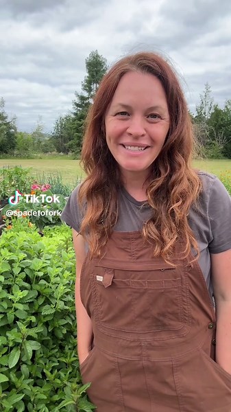 Spade To Fork on TikTok