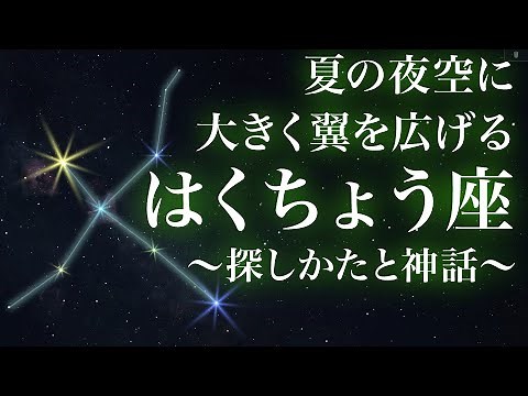 "Cygnus" - A swan spreading its wings in the summer night sky - How to find it and myths