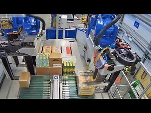 PackMaster – Mixed Palletizing Automation by Gizelis Robotics & WSR