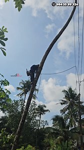 7.9M views · 44K reactions | Electricity line മാറ്റി നിർത്തി ഇതുപോലെ...