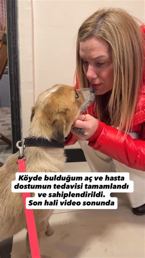 CEM ÖZKÖK on Instagram: "Öğle namazı için çiftlikten kalkıp 15 dakika uzaklıktaki köye inmem boşuna değildi… O canın rızkı nasibi varmış. Rabbim vesile etti 🙌 Seyahat için geldiğim köyde günlük rutin video çekiyordum. Çekim esnasında o an tevafuk olarak böyle bir an yaşandı ve işte devamı böyle geldi. Peygamber Efendimiz (s.a.v) buyuruyor ki: “Bir adam yolda yürürken çok susadı. Bir kuyu bulup indi, su içti. Çıkınca susuzluktan dilini toprağa süren bir köpek gördü. ‘Bu köpek de benim gibi sus