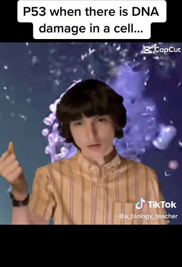 Understanding the Role of p53 in Cell Protection and Cancer Prevention