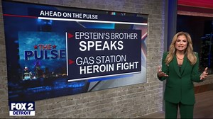 Jeffrey Epstein's brother speaks: 'he was killed'