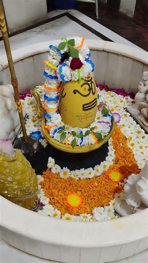 मछंदर जी का चेला , गुरु जी, 🙏🌹 गोरख जाती 🙏 #harharmahadev 🙏🌹🙌🔱 #jaimahakal #machhandar #shorts
