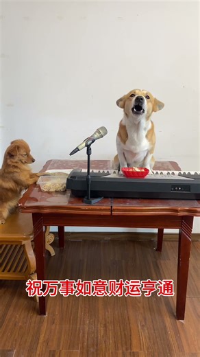 Double Dog Collaboration: Cloud Palace Swift Sound, a Song for Making Money