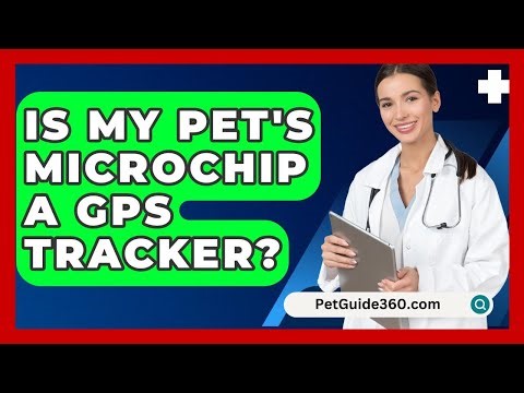 Is My Pet's Microchip A GPS Tracker? - PetGuide360.com