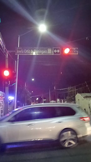 Colorful Robot Entertains Audience with Flowers | Descarado Medina