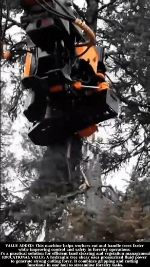 Powerful Hydraulic Tree Shear in Action! #shorts