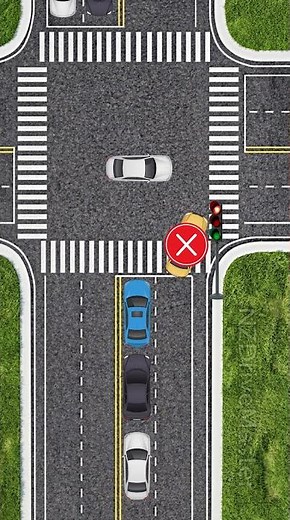 🚦Traffic Signal Violation at an Intersection❌| Why Ignoring Signals Is Dangerous #driving #dmv #tips