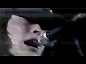 [ 九月になったのに ] 忌野清志郎 (1976 LIVE 京都)