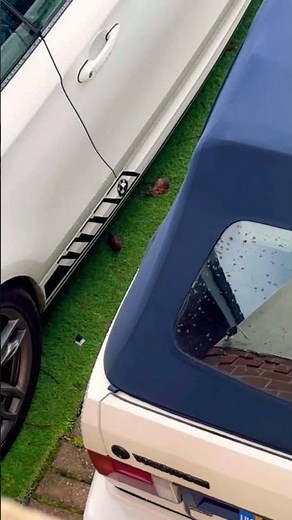 VW Golf MK1 Convertible GTI