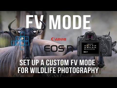 Canon R5 Custom Shooting Mode with Flexible Priority (Fv)