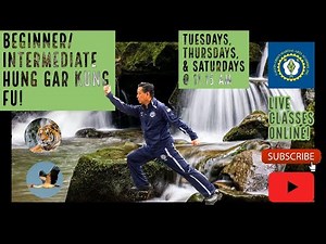Beginner/Intermediate Hung Gar Kung Fu all ages Live! Traditional Chinese martial arts!