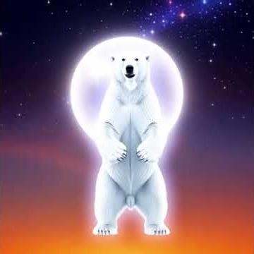 Christmas Magical Box with Polar Bear