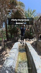 🌊🤿Hold your breath! Every descent reveals new wonders! Dive into underwater mysteries with the Osmo Action 5 Pro and capture each breathtaking moment. 🎬: IG/steve-parkour1 #OsmoAction5Pro #DareToDiscover #DeepSecrets #AdventureCalling #UnderwaterExplorer | DJI