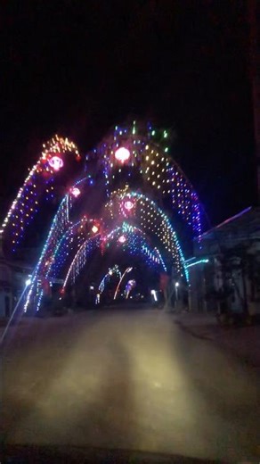 A Glimpse of Vietnamese Tet: Bamboo Trees and Spring Lights #shortvideo