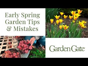 Early Spring Garden Tips & Mistakes | Spring Recap: What I'd Do Different Next Year! #gardentips